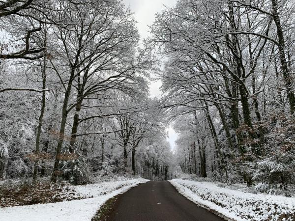 Neige 6